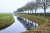Friese_Woudenpad Wilhelminaoord Steenwijk