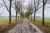 Friese_Woudenpad Wilhelminaoord Steenwijk