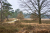 Landgoed De Eese Friese_Woudenpad Wilhelminaoord Steenwijk