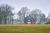 Landhuis De Eese Friese_Woudenpad Wilhelminaoord Steenwijk