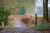 Landgoed De Eese Friese_Woudenpad Wilhelminaoord Steenwijk