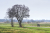 Wandelroute_Loon_Balloerveld_13km-07