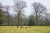 Wandelroute_Loon_Balloerveld_13km-11