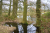 Wandelroute_Loon_Balloerveld_13km-13