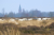 Wandelroute_Loon_Balloerveld_13km-17