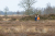 Wandelroute_Loon_Balloerveld_13km-18