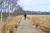 Wandelroute_Loon_Balloerveld_13km-19