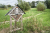 hertme-gele-wandelroute-twente-6km_02