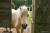hertme-gele-wandelroute-twente-6km_04
