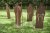 hertme-gele-wandelroute-twente-6km_15