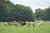 hertme-gele-wandelroute-twente-6km_18