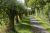 st-odulphuspad-completen-17km_13