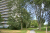 stadswandeling-den-haag-de-groene-stad-13km_02