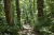stadswandeling-den-haag-de-groene-stad-13km_14