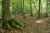 wandeling-emmerdennen-en-rensenpark-emmen-10km_03