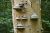 wandeling-emmerdennen-en-rensenpark-emmen-10km_04
