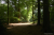 wandeling-emmerdennen-en-rensenpark-emmen-10km_05