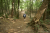 wandeling-emmerdennen-en-rensenpark-emmen-10km_06