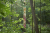 wandeling-emmerdennen-en-rensenpark-emmen-10km_09