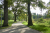 wandeling-emmerdennen-en-rensenpark-emmen-10km_12