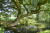 wandelroute-Kopermolenpad-Wenum-Wiesel-13-km-03
