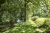 wandelroute-Kopermolenpad-Wenum-Wiesel-13-km-04