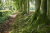 wandelroute-Kopermolenpad-Wenum-Wiesel-13-km-08