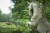 wandelroute-Kopermolenpad-Wenum-Wiesel-13-km-10
