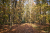 wandelroute-rheeze-vechtdal-13km_02