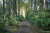 wandelroute-rheeze-vechtdal-13km_06