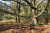 wandelroute-rheeze-vechtdal-13km_09