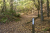wandelroute-rheeze-vechtdal-13km_12