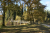 wandelroute-rheeze-vechtdal-13km_20