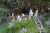 wandelroute-sprengenberg-haarle-sallandse-heuvelrug-10km-03