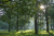 wandelroute-sprengenberg-haarle-sallandse-heuvelrug-10km-05