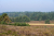 wandelroute-sprengenberg-haarle-sallandse-heuvelrug-10km-12