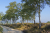 wandelroute-sprengenberg-haarle-sallandse-heuvelrug-10km-13