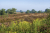 wandelroute-sprengenberg-haarle-sallandse-heuvelrug-10km-14