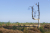 wandelroute-sprengenberg-haarle-sallandse-heuvelrug-10km-16
