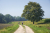 wandelroute-sprengenberg-haarle-sallandse-heuvelrug-10km-20